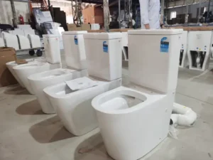toilet checking