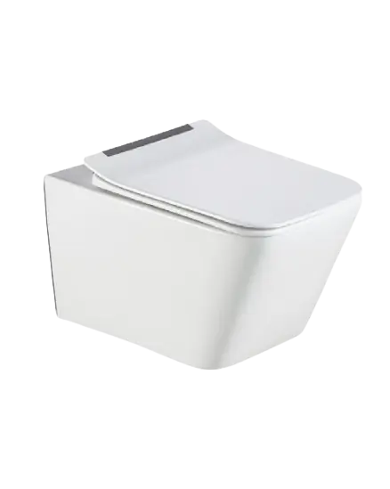wall hung toilet-preview