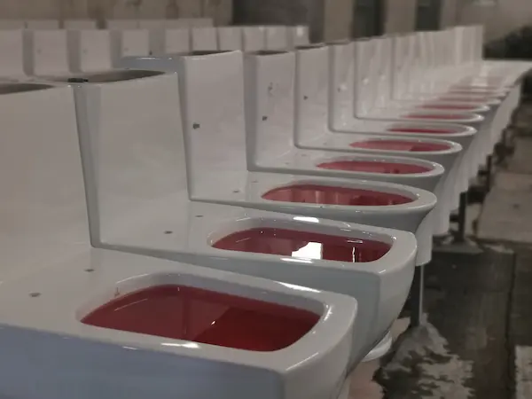 toilet water test