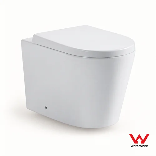 102R-wall face toilet floor standing