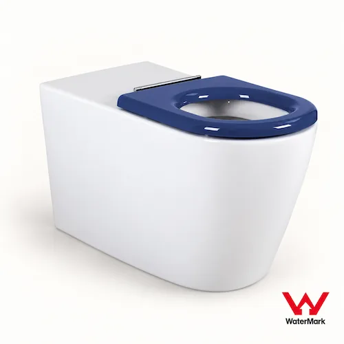 106-WaterMark accessible toilet