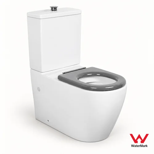 800-WaterMark accessible toilet