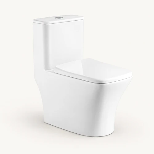 8621-washdown one-piece toilet